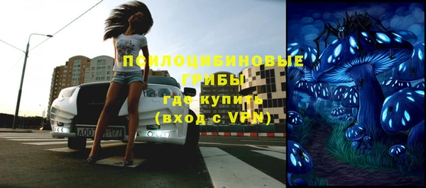 бошки Нягань