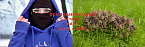 гидропоника Остров