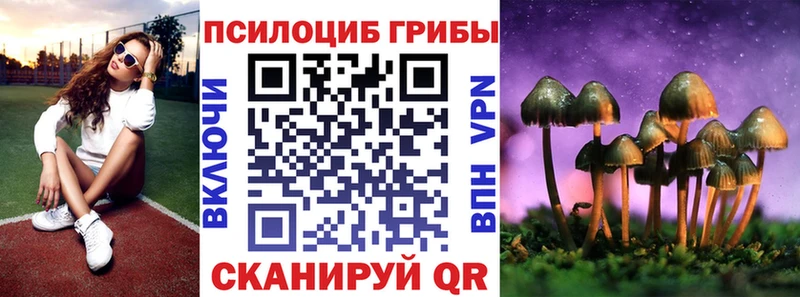 Псилоцибиновые грибы Cubensis  Фокино 